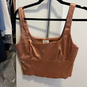 Never worn Aritzia shine bustier top - discontinued color